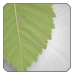 код для фифа 07 для установки. Leaf. код для фифа 07 для установки фото. код для фифа 07 для установки-Leaf. картинка код для фифа 07 для установки. картинка Leaf. 6ZNW-C4TP-NN2X-DNNS-2RLDJHZZ-KCT4-BAEX-LBA6-3RLDJV8G-PUT7-26JY-C26A-4RLDJ8YG-9PV9-XFEZ-HXF6-5RLDEJM5-X7WP-CKA2-QCK2-6RLDУправление FIFA 07