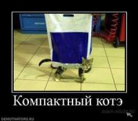 Опубликованное фото