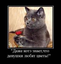 Опубликованное фото