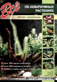 Прикрепленное изображение