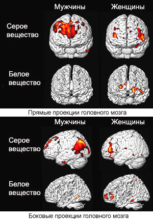 post-35815-1240486673.jpg